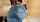 big ass ass bbw