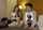 lesbian anal masturbation