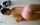 panties bathroom undress