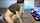 camgirl blonde couple