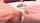 pov pornhub couple