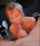 habitacion blonde blowjob
