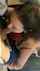 blowjob deepthroat facefuck