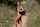 amateur outdoor exhibitionist