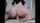 brunette pale camgirl