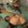anal black bbc