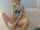 camgirl blonde chaturbate