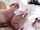 brunette small tits blowjob