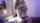 lesbian bathroom fingering