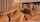 camgirl lesbian amateur