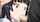 dark hair blowjob hentai