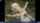 jav japanese code