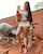 beauty amateur teen