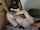 anal teen camgirl