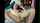 chatcam latina braces