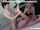 cuckold bisexual cuckoldest