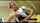 blonde teen 21sextury