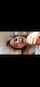 asian busty blowjob