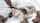 blonde redhead bbc