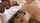 teen cum cumshot