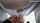 piss public shaved