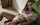 camgirl petite hot