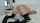 camgirl bongacams cam