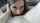 camgirl licking eye contact