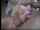 blonde milf blowjob