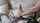 mistress handjob pov