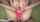 amateur teen xxx