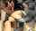 camgirl big tits brunette