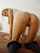 amateur ass pussy