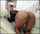 ebony milf ass