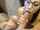 threesome blowjob cam