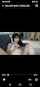 pornstar bigtits blackhairy
