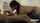jav blowjob milf