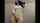 camgirl masturbation milf