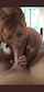 redhead bwc blowjob