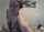 camgirl camcouple chaturbate