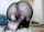 room kamberhot camgirl