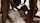 amateur interracial threesome