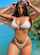 brunette big tits model