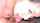 asian lick blowjob