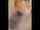 asian japanese jav