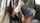 amateur bbc cheating