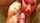 homemade blowjob sex