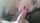 amateur blowjob wife