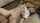 schoolgirl forced jav