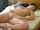 camgirl sexy hot